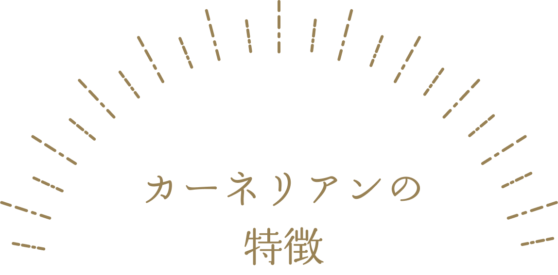 カーネリアンの特徴