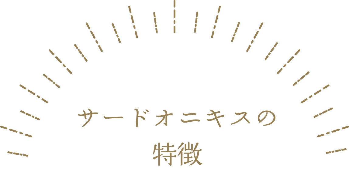 サードオニキスの特徴